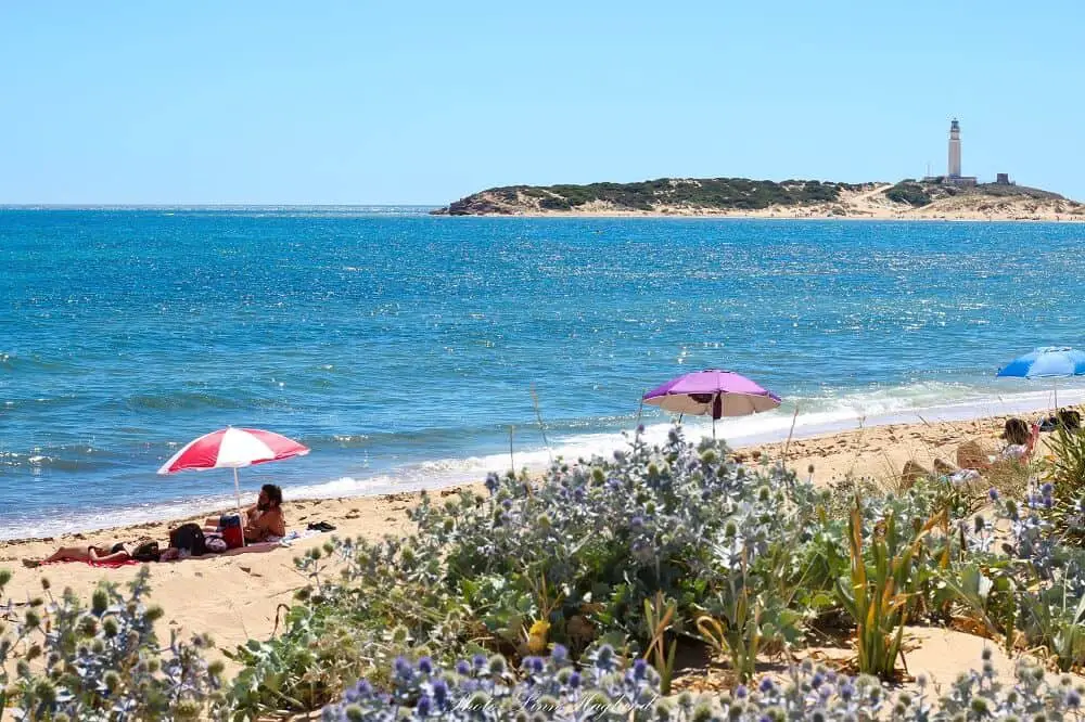 Views of Cape Trafalgar