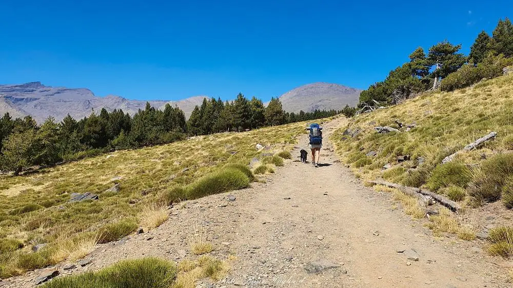 Mulhacen hiking trail