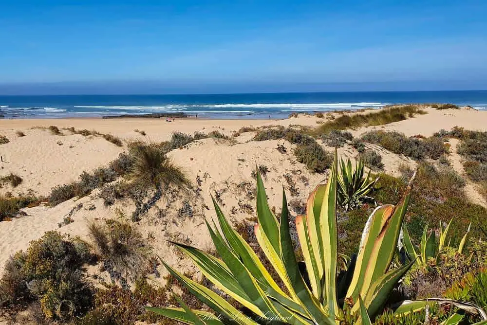 Algarve is one of the warmest places in Europe in winter