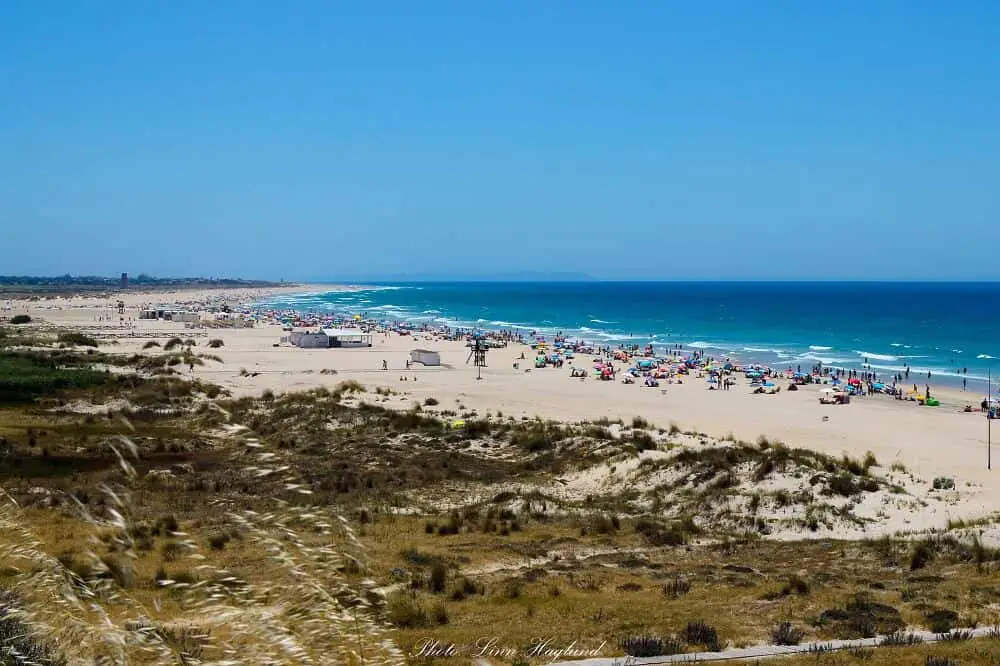 Conil de la Frontera makes one of the best day trips from Seville