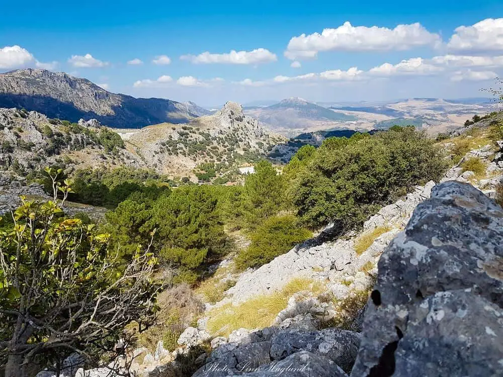 Grazalema natural park