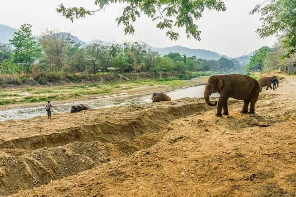 Elephant Nature Park Thailand