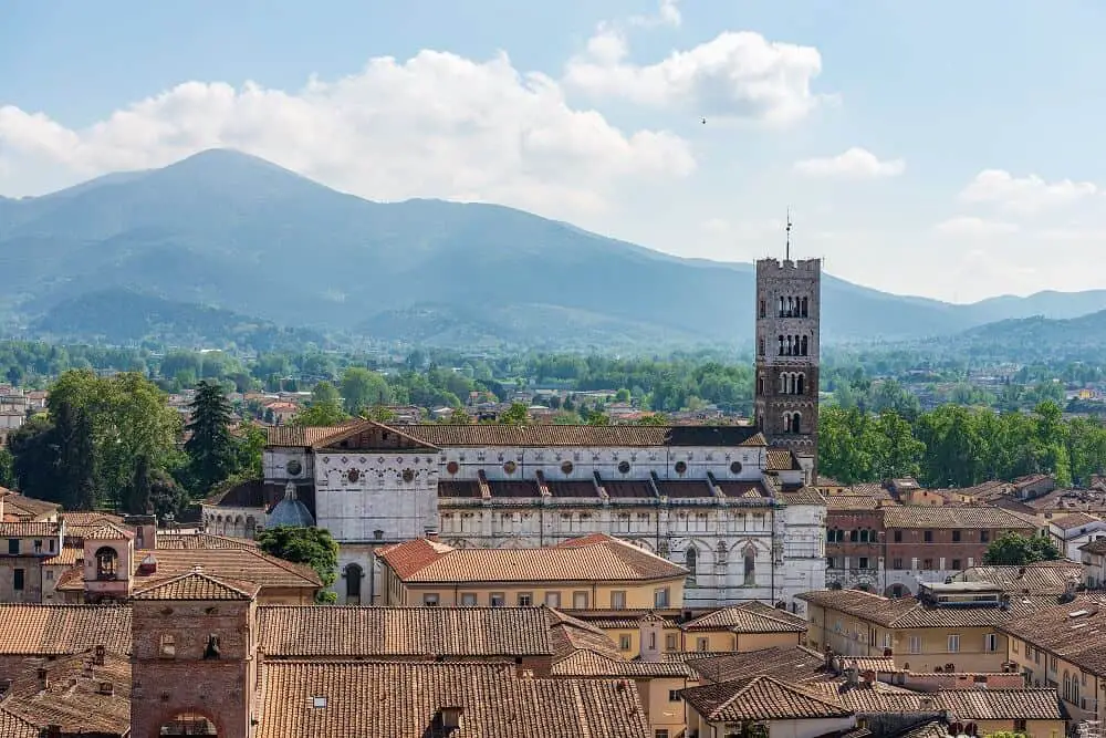 View of the Cathedral of San Martino from the Guinigi Tower