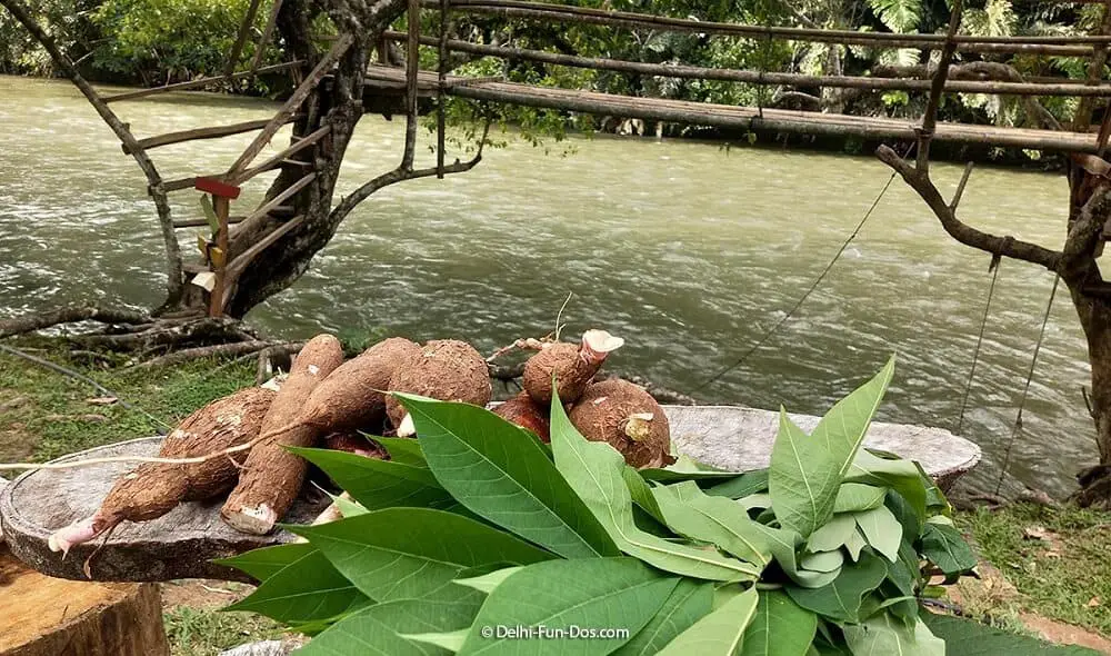 Jungle camping in Kiulu, Sabah, Malaysia