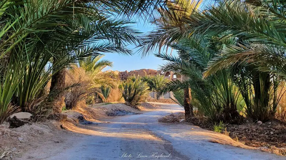 Garmeh desert oasis in Iran