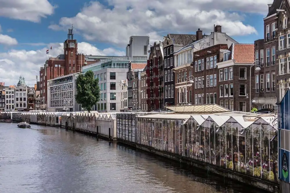 Head to the floating flower market during your weekend in Amsterdam