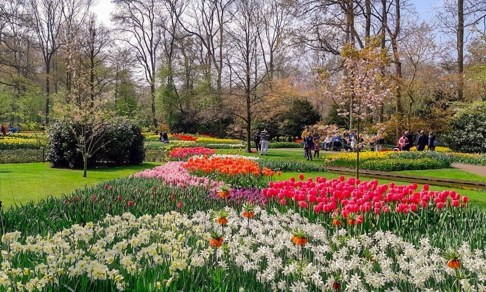 Keukenhof Gardens and Tulip Fields is one of the most beautiful places to visit near Amsterdam