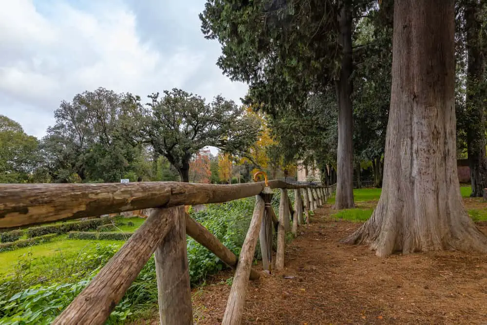 Villa Borghese winter