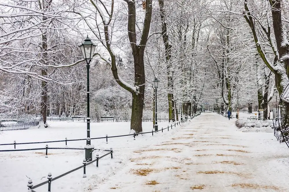 A park in Krakow in winter