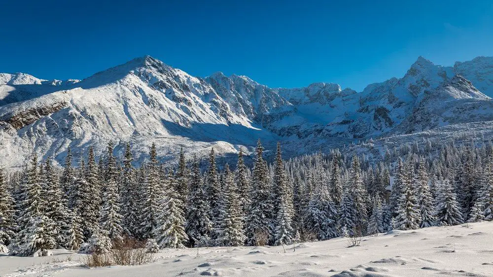 Tatra mountains in the winter