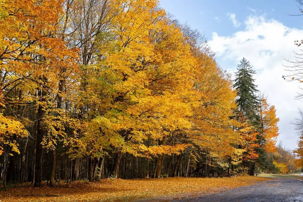 New England scenic drives for fall colors