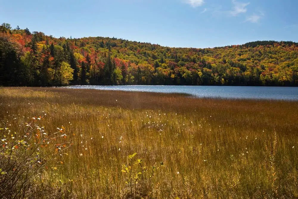 best fall foliage drives in New England