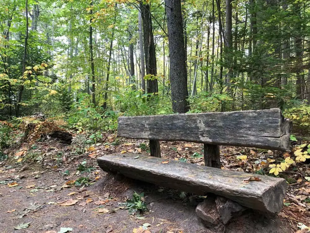 Wolfe's neck state park is one of the top places to vacation in New England