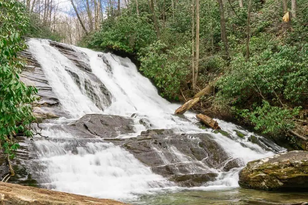 Brevard Waterfall hikes - Catheys Creek