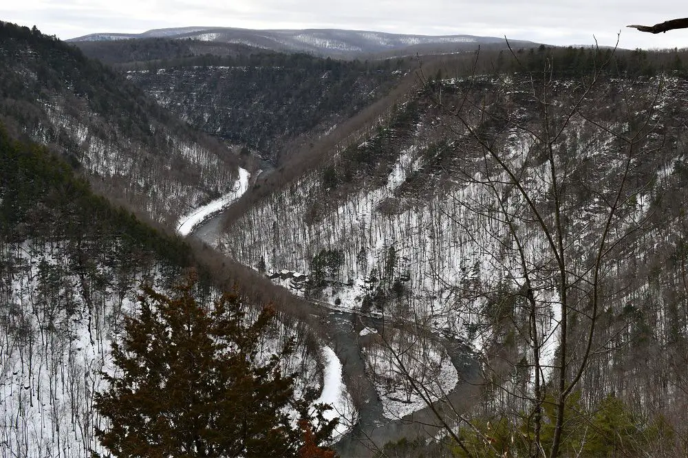 Views of the Pine Creek Gorge from the West Rim Trail in Pennsylvania - A stunning East Coast Hiking Trail