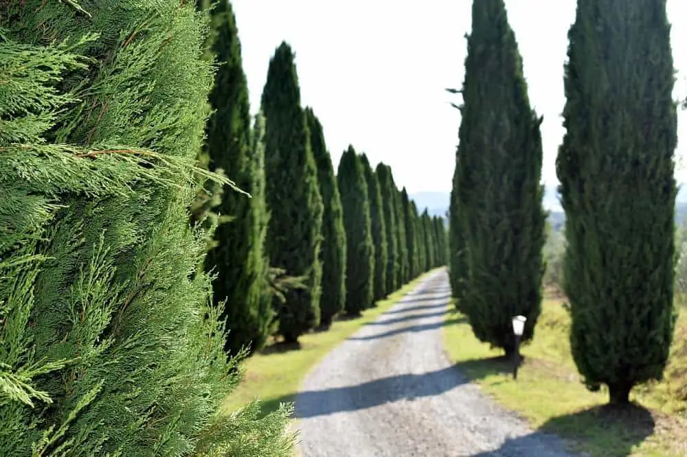 Road trip in Tuscany