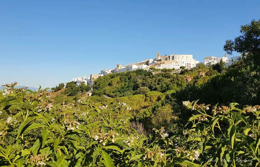 Vejer de la Frontera