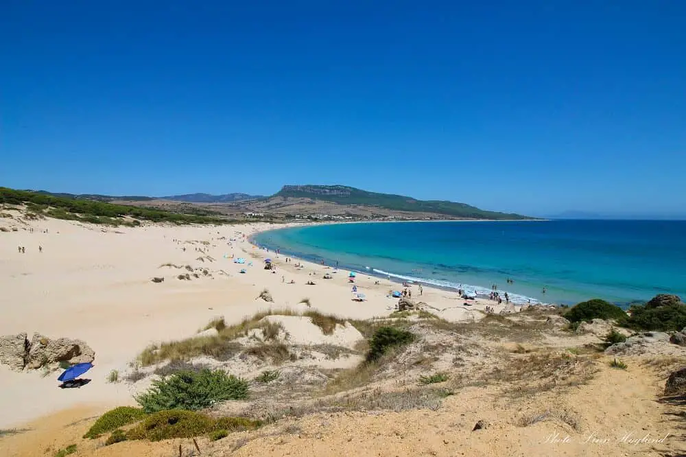 Bolonia Tarifa