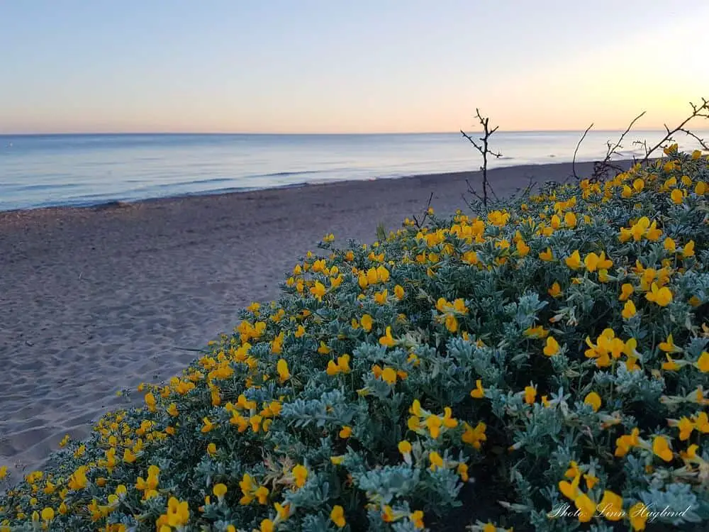 Cabopino - best beaches Andalucia