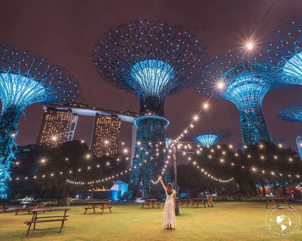 Gardens by the Bay at night