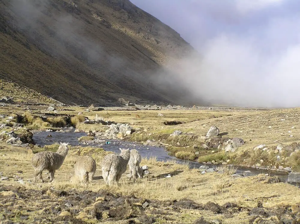 Hiking in Peru Lares