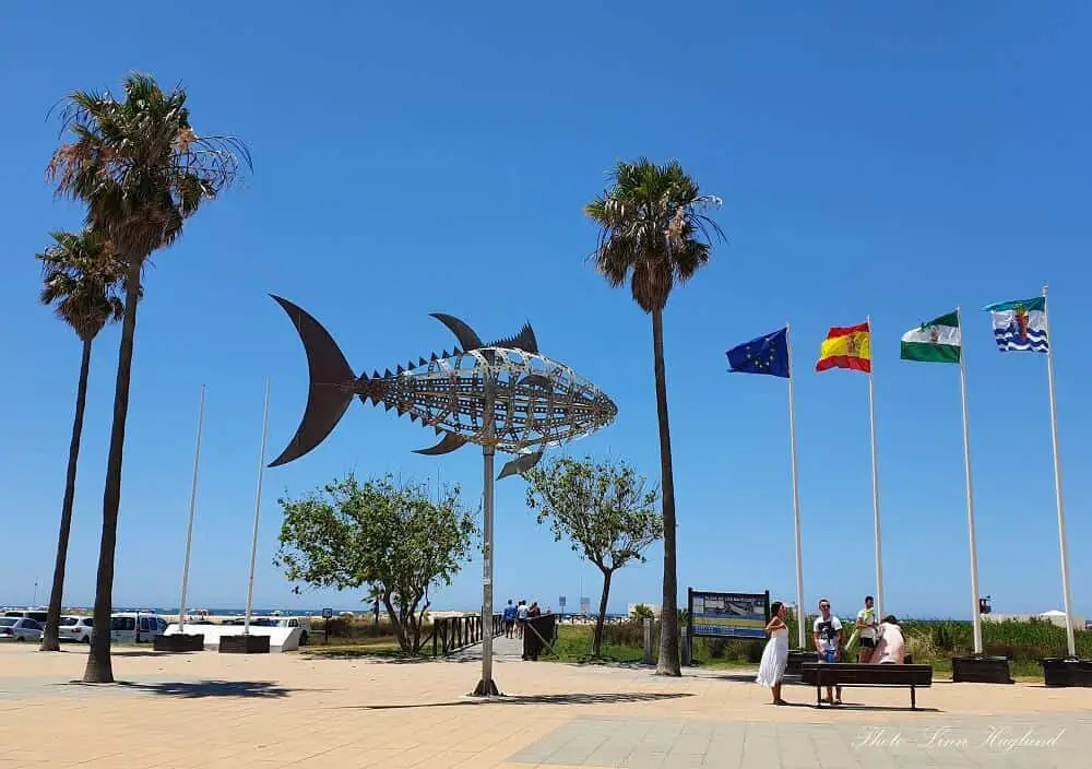 Day trip from Cadiz - Conil de la Frontera