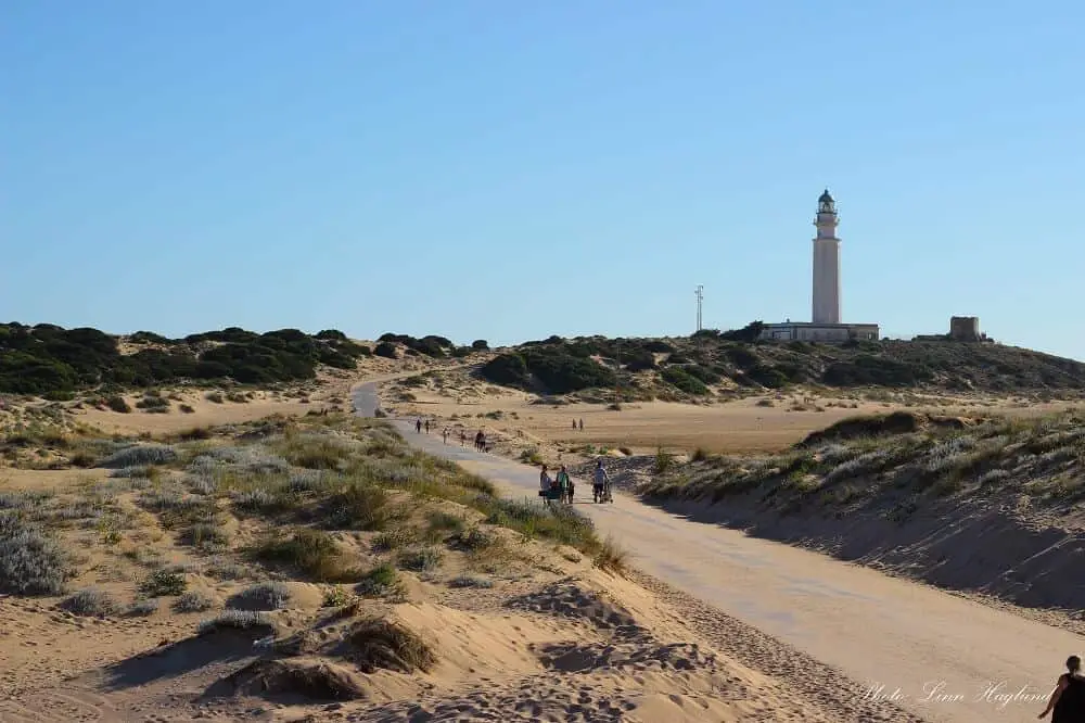 Top day trips from Cadiz - Trafalgar Lighthouse