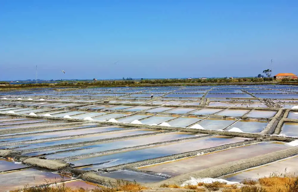 Things to see in Aveiro salt farm