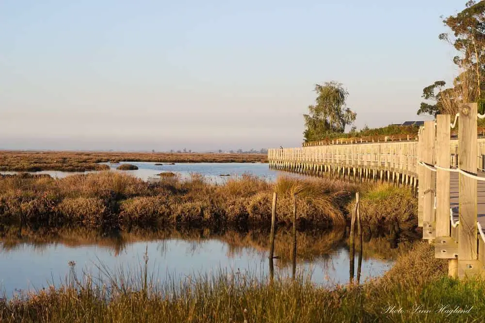 Aveiro walkways - best hikes in Portugal