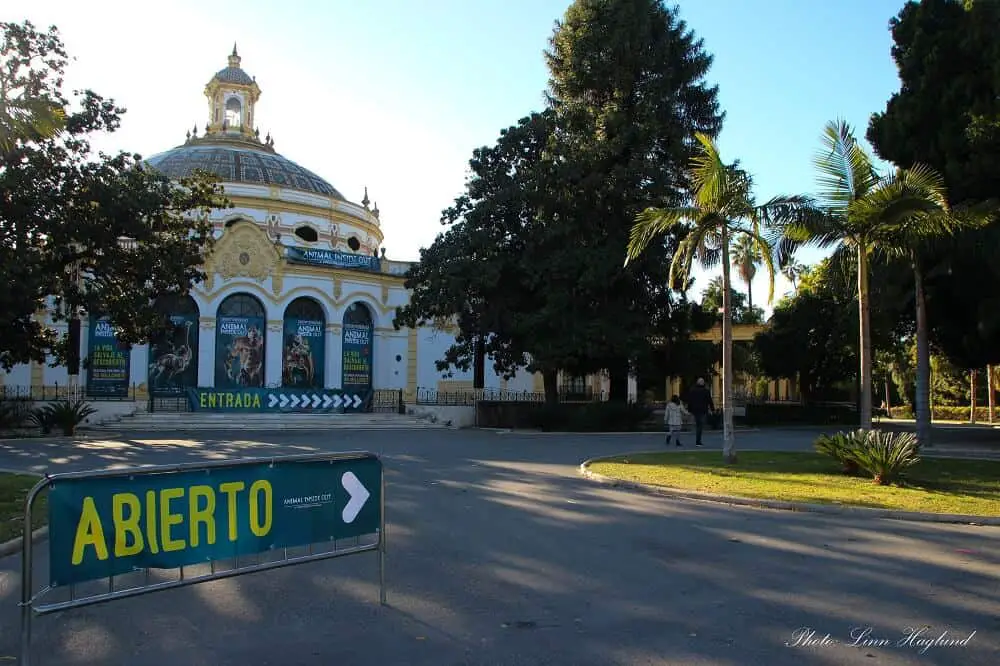 Must do in Seville - go to a theater