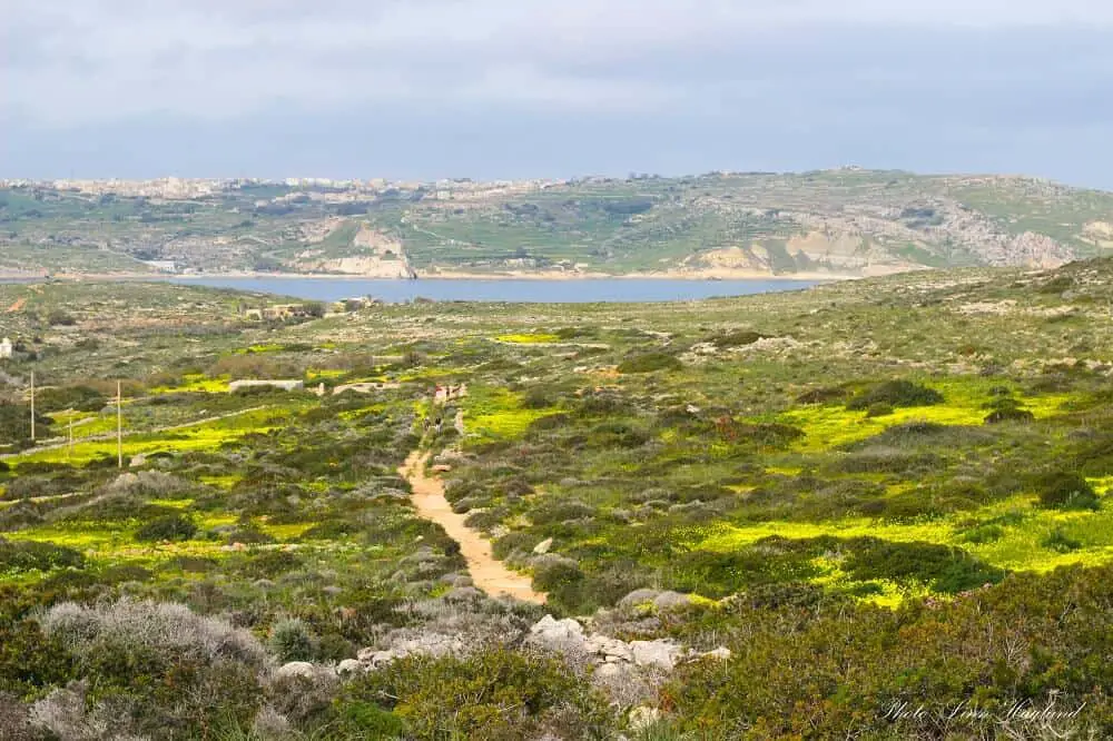 Hikes in Malta - Comino