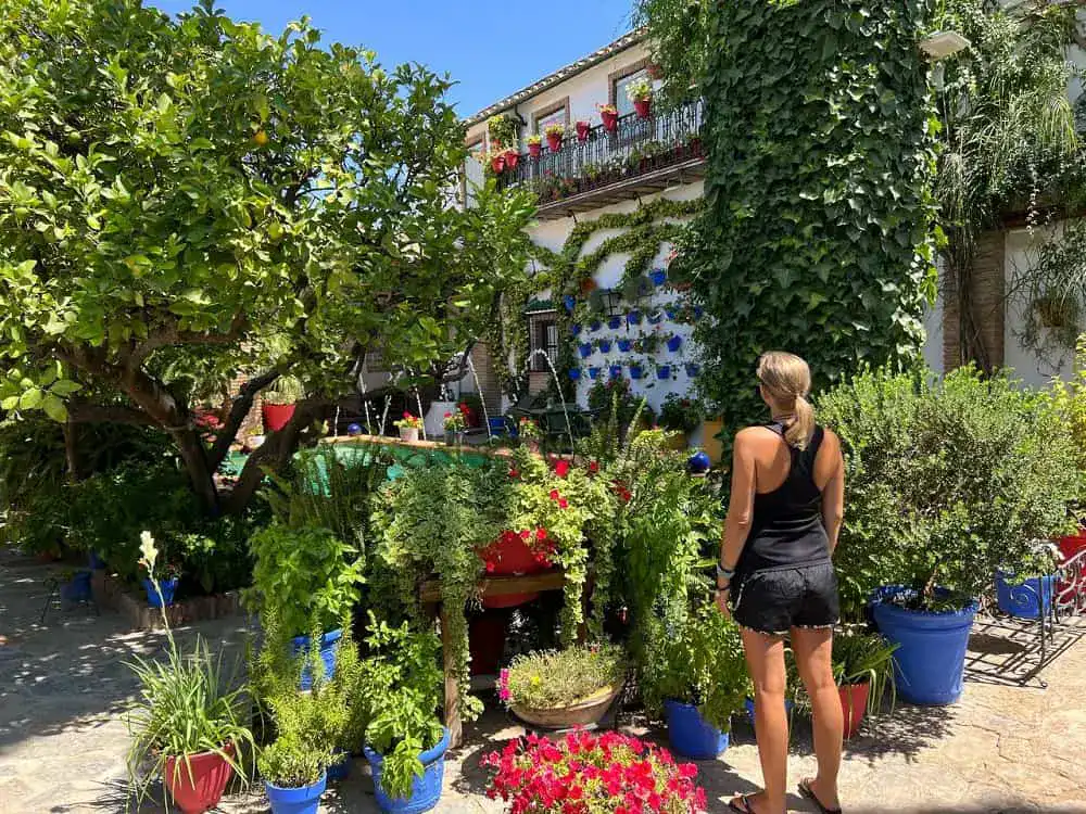 Tourist attractions Rute Cordoba - beautiful patios