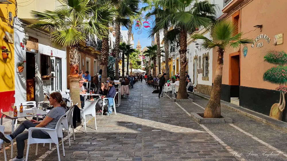A pedestrian street in Cadiz Spain lined with busy restaurants with outdoor tables and palm trees. This is a great place to grab lunch when visiting Cadiz in one day.