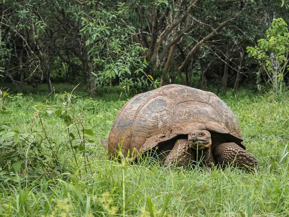 Green tourism destinations - Galapagos