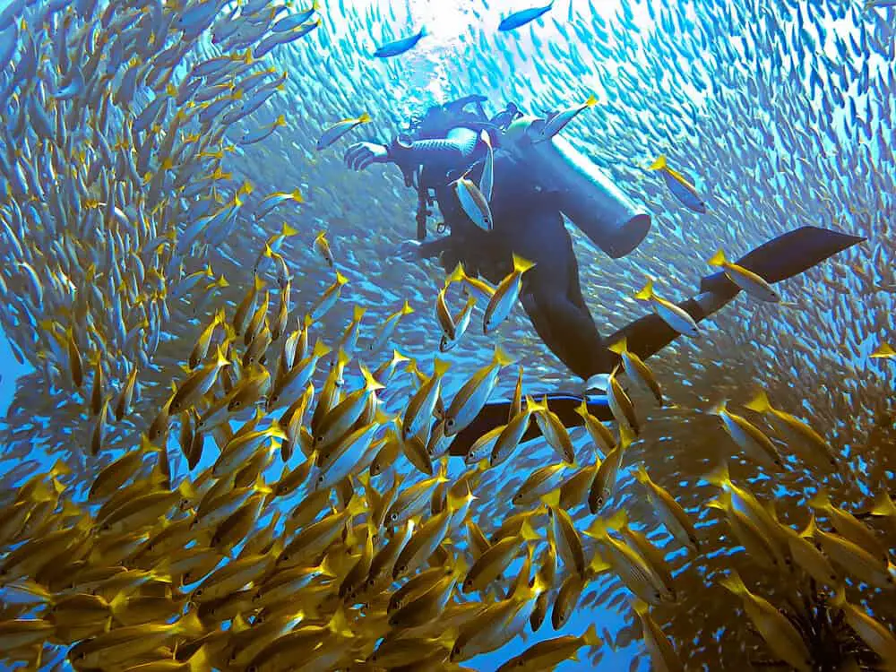 scuba diving in Thailand