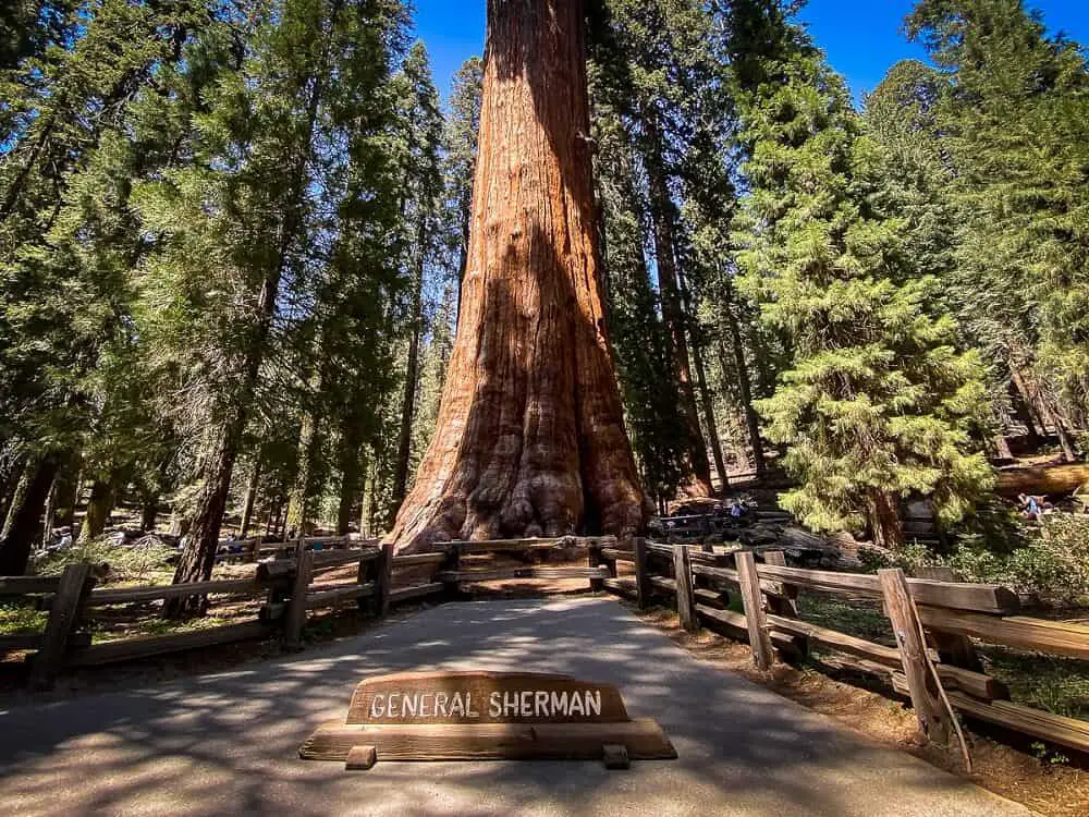 National Parks in the western United States - Sequoia