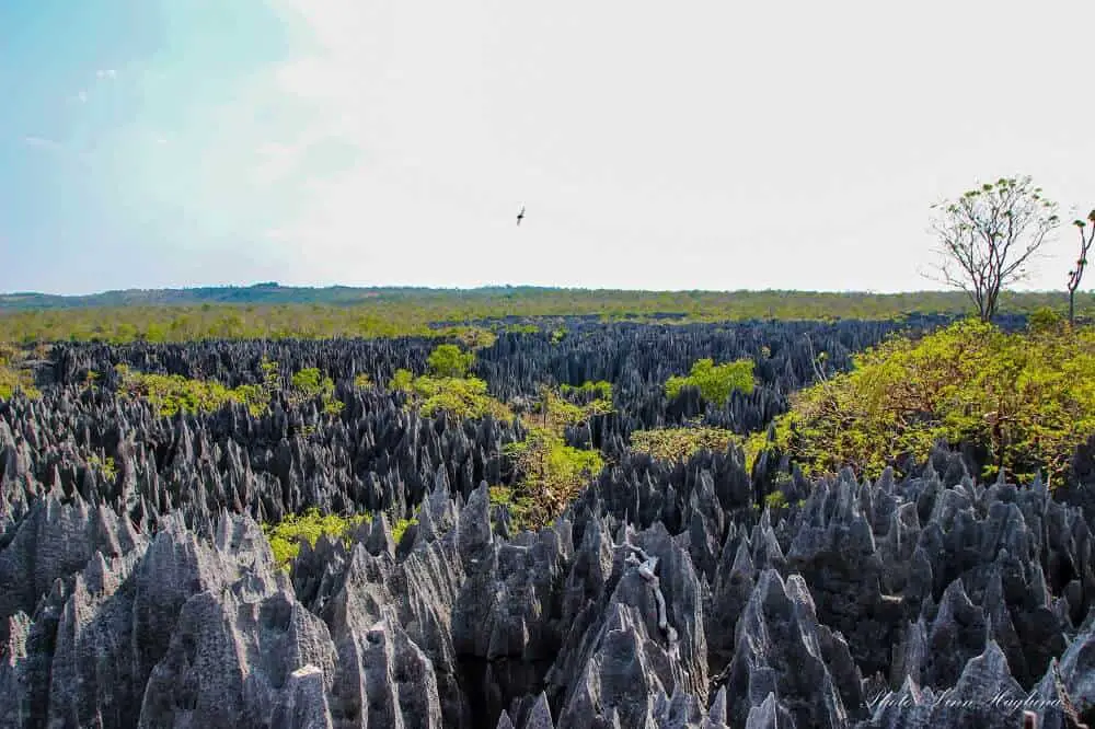 Tsingy de Bemaraha Madagascar