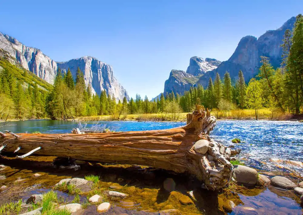 Free camping in Yosemite