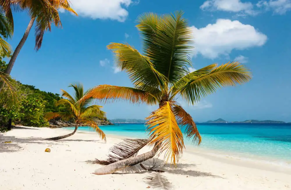 Caribbean eco tourism