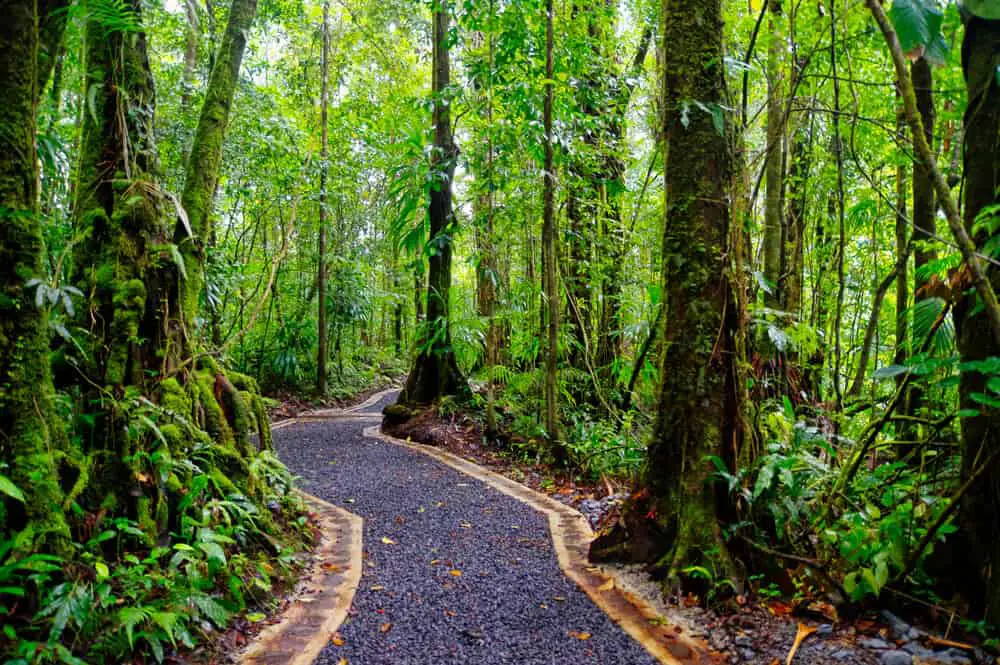 Eco tourism Caribbean - Dominica