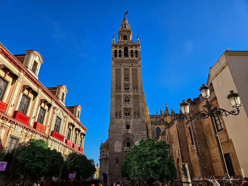 Seville cathedral tower which yyou will see when visiting Seville in one day.