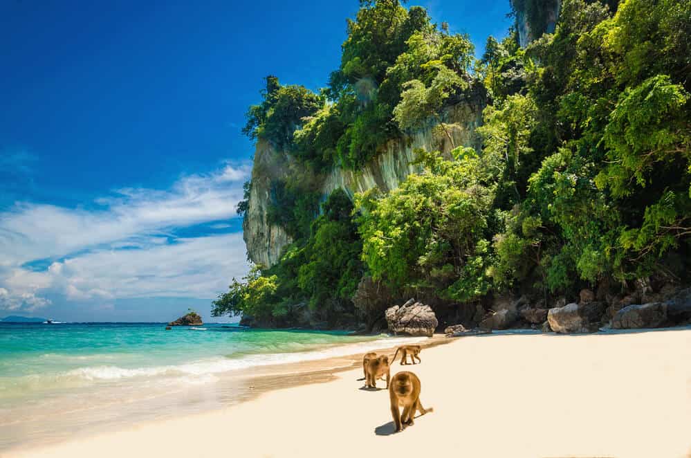 things to do in Koh Phi Phi