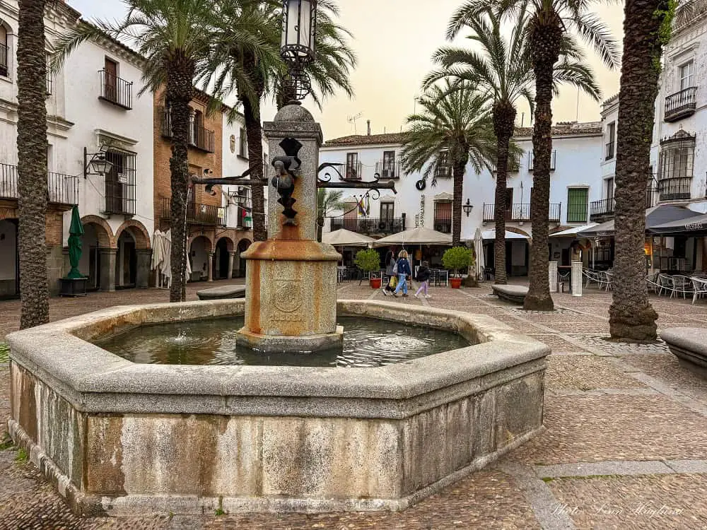 A medieval fountain, palm trees, and portticos in Plaza Grande in Zafra.