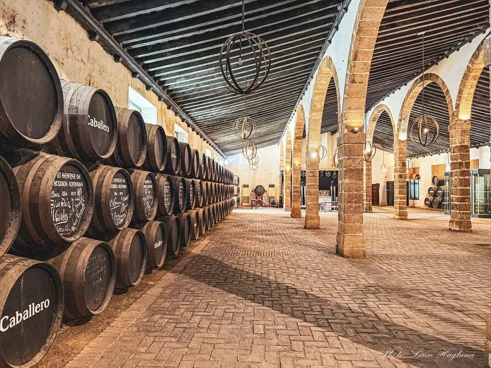 Lines of dark brown wine barrels in a bodega in El Puerto de Santa Maria in Andalucia Spain. Goin gon a wine tasting is a great activity in El Puerto to learn about the history of wine making in the region.