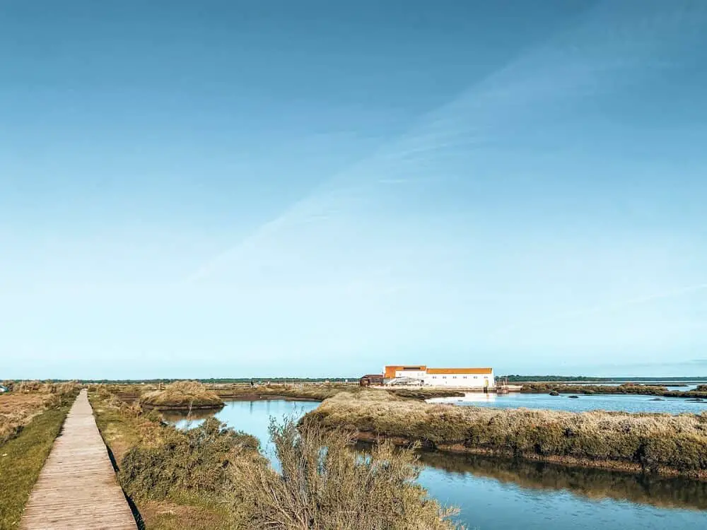 Hidden gems Portugal - Sado River