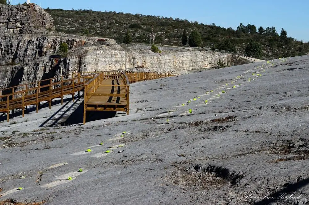 Portuguese hidden gems - dinosaur footprints