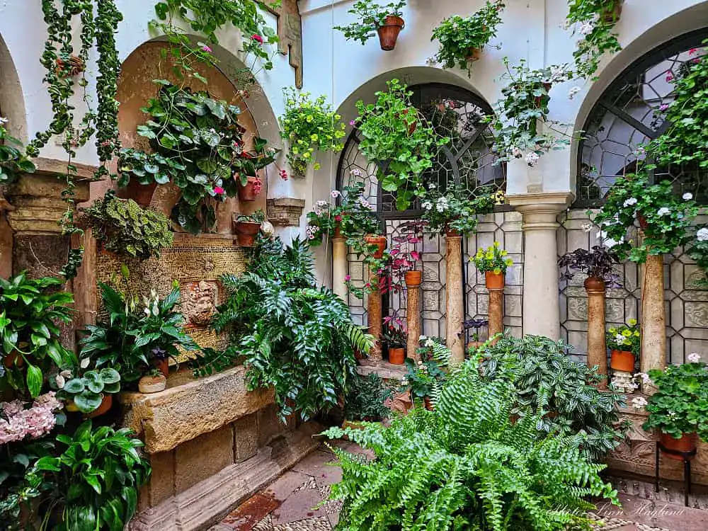 Cordoba Courtyards