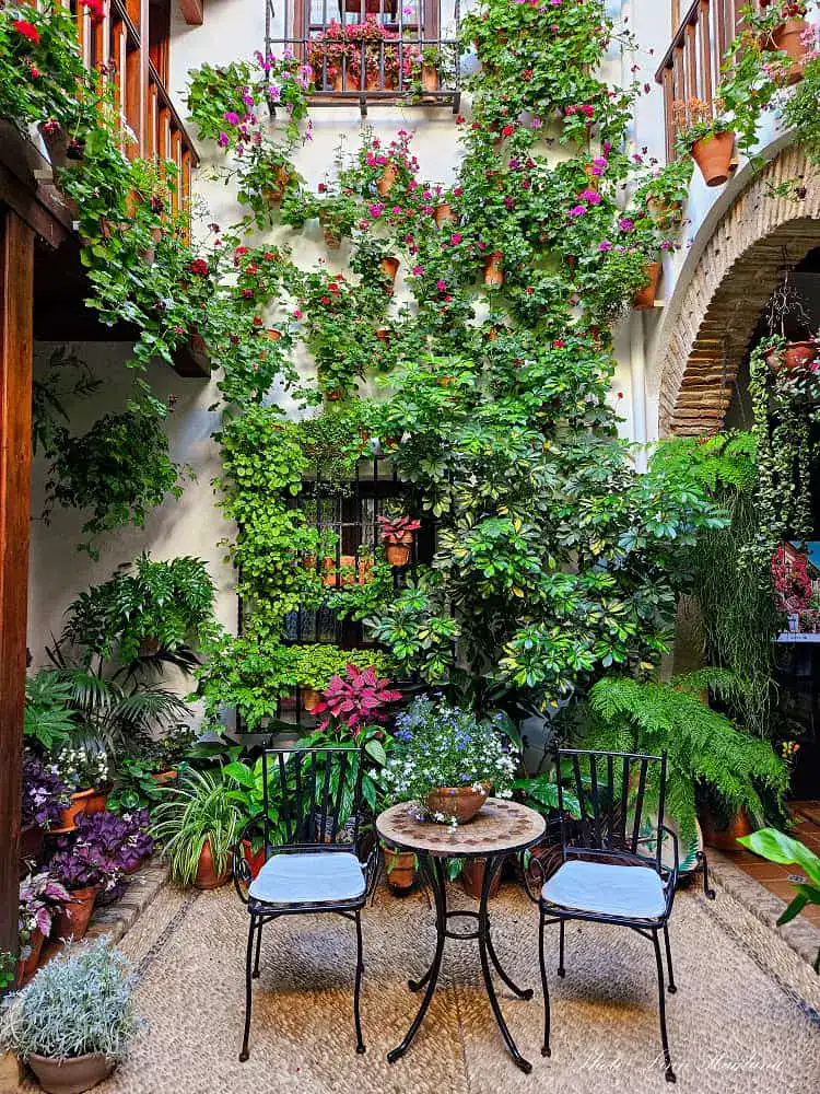 Cordoba patio gardens