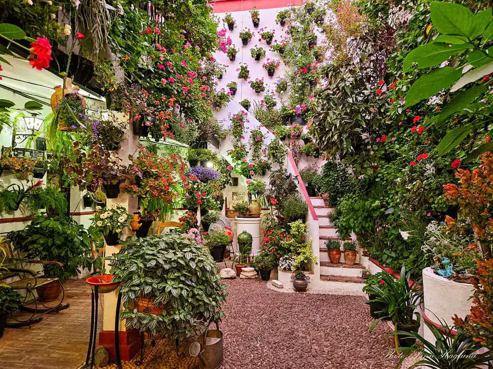 Cordoba patio
