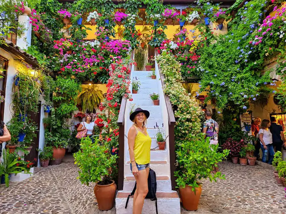 Cordoba patios